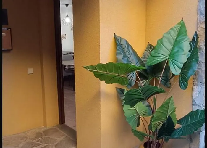 Casa Rocasol Holiday home *